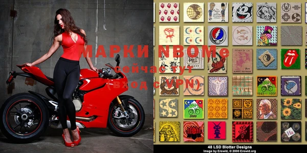 гашик Яровое