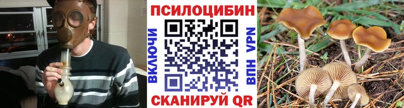 Галлюциногенные грибы Magic Shrooms Рославль